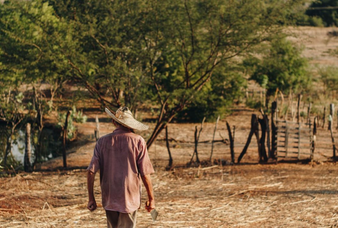 Agricultor caminha por um campo seco no Brasil, entre áreas de solo exposto e vegetação rala.