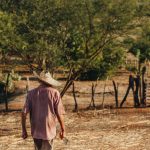 Agricultor caminha por um campo seco no Brasil, entre áreas de solo exposto e vegetação rala.