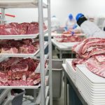 Trabalhadores manuseiam cortes de carne suína em bandejas dentro de uma unidade industrial de processamento de alimentos.
