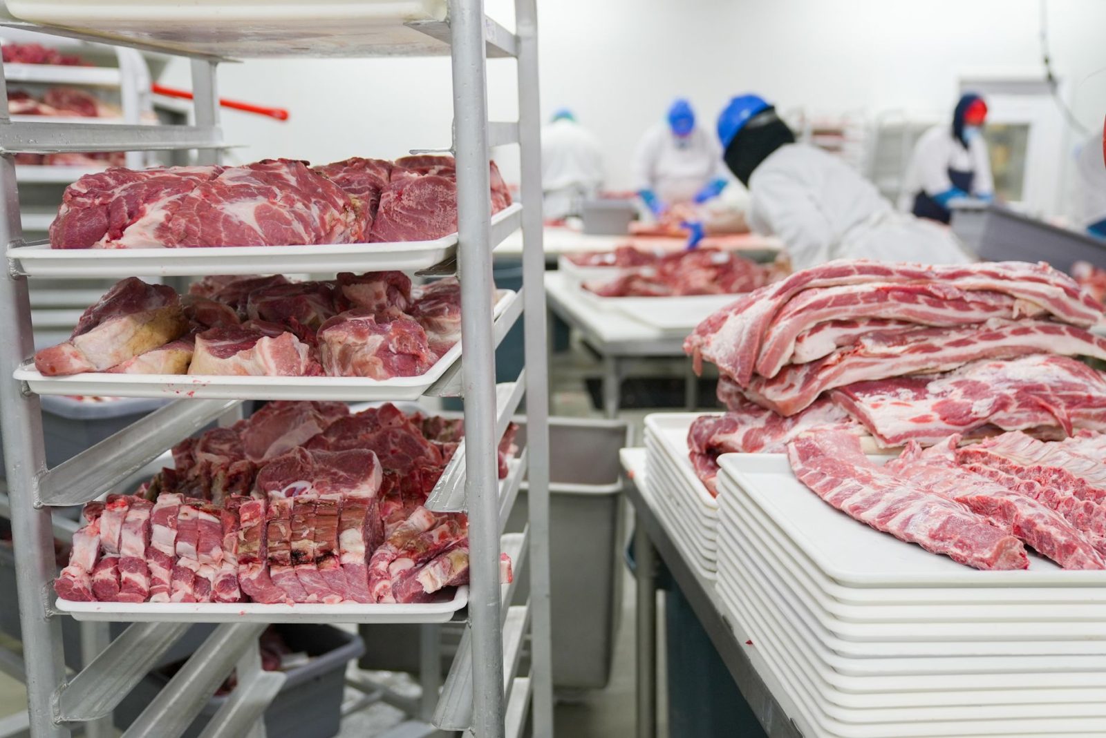Trabalhadores manuseiam cortes de carne suína em bandejas dentro de uma unidade industrial de processamento de alimentos.