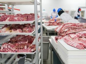 Trabalhadores manuseiam cortes de carne suína em bandejas dentro de uma unidade industrial de processamento de alimentos.