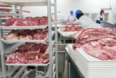 Trabalhadores manuseiam cortes de carne suína em bandejas dentro de uma unidade industrial de processamento de alimentos.