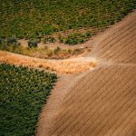 Vista aérea de áreas cultivadas com trechos verdes e secos, evidenciando a diversidade das condições agrícolas.