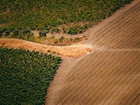 Vista aérea de áreas cultivadas com trechos verdes e secos, evidenciando a diversidade das condições agrícolas.