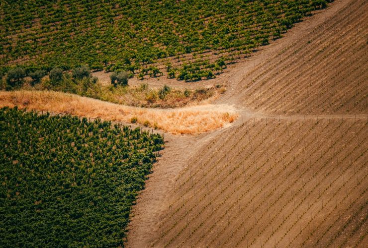 Vista aérea de áreas cultivadas com trechos verdes e secos, evidenciando a diversidade das condições agrícolas.